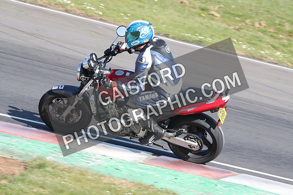 BIKES 2180