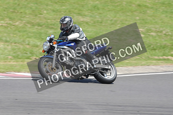 BIKES 1213