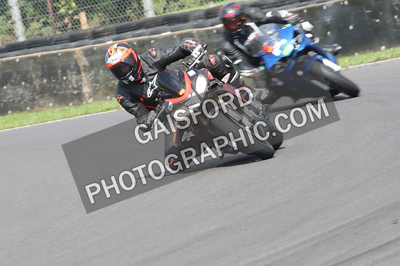 BIKES 0541