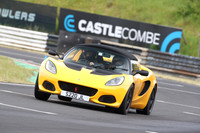 LOTUS 0274