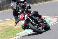 BIKES 0983