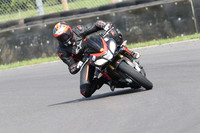 BIKES 0499