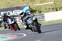 BIKES 0288