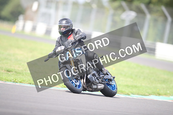 BIKES 1466