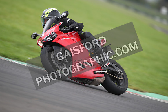 BIKES 1174