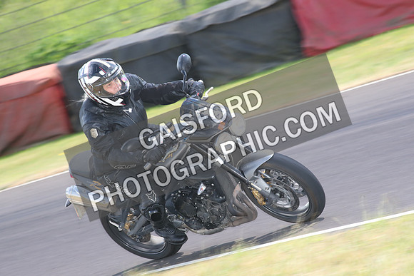 BIKES 1559