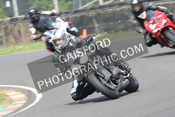 BIKES 0545