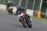 BIKES 1537