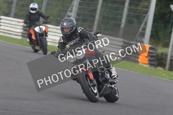 BIKES 1537