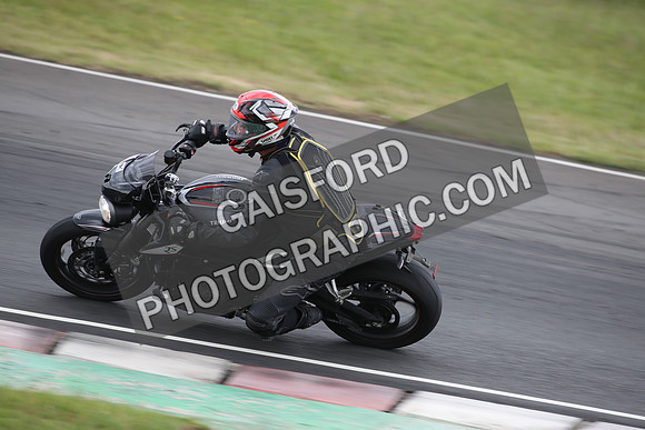 BIKES 1619