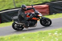 Fowlers 0978
