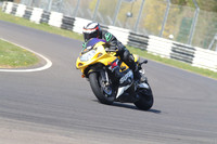 BIKES 1432