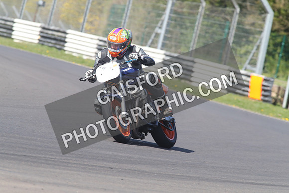 BIKES 1444