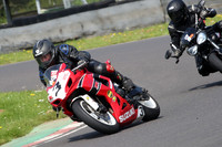 Fowlers 0498