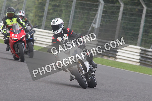 BIKES 1583