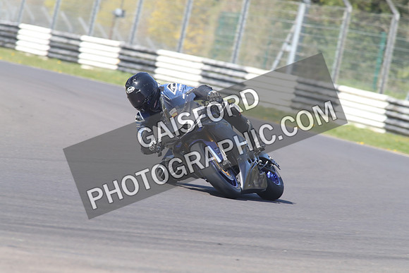BIKES 1482