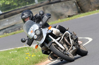 Fowlers 0663