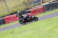 Fowlers 0674