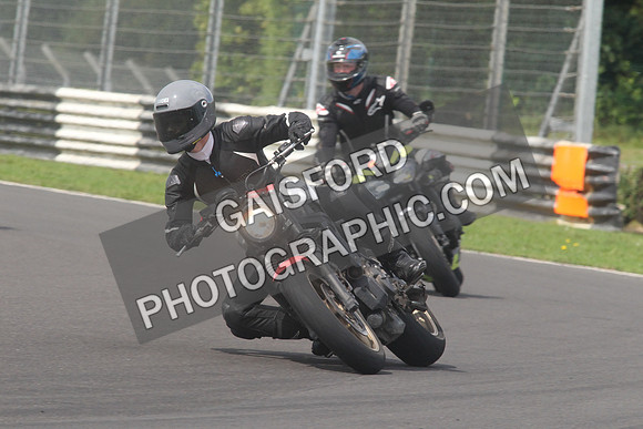 BIKES 1611