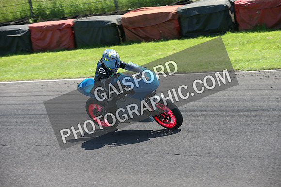BIKES 2274