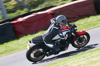 BIKES 1584