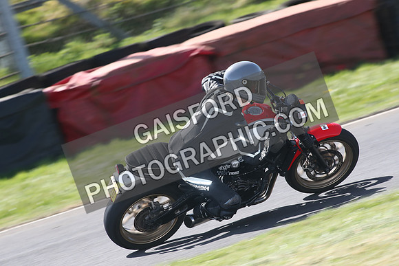 BIKES 1584