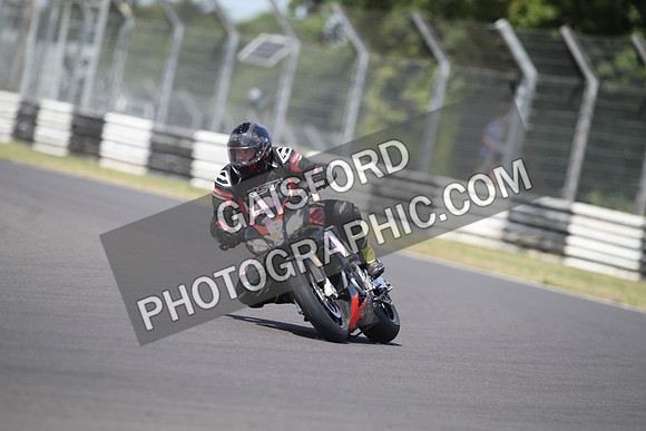 BIKES 1381