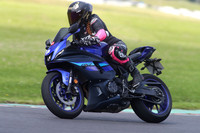 BIKES 1702