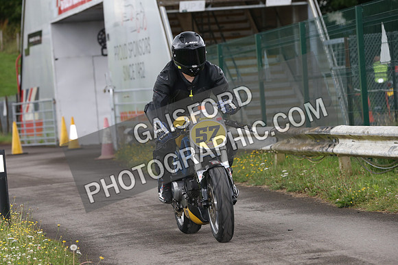 Fowlers 0131