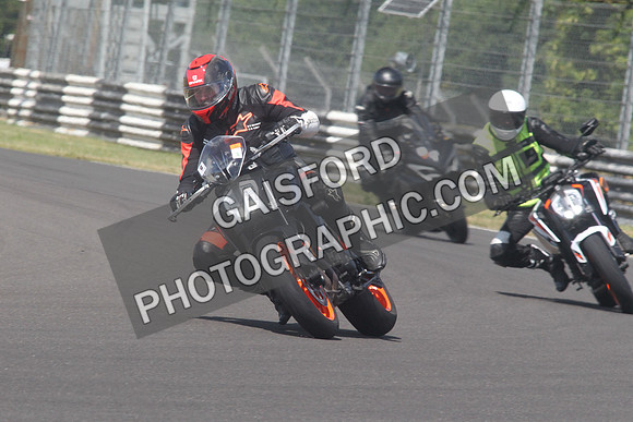 BIKES 1597