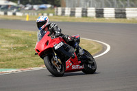 Suzuki Motul