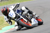 BIKES 0817
