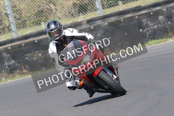 BIKES 0699