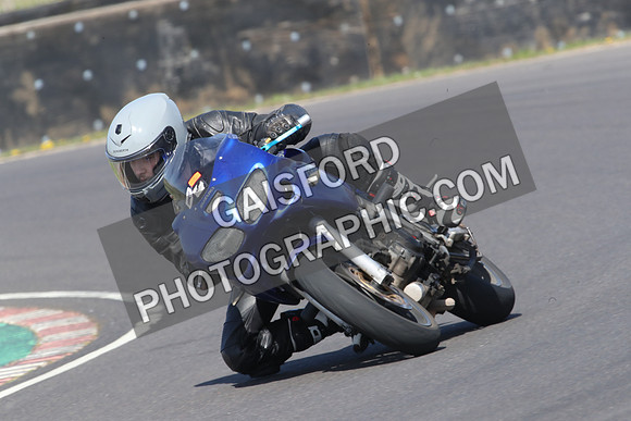 BIKES 0681