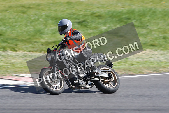 BIKES 2123