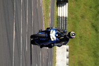 Honda blue
