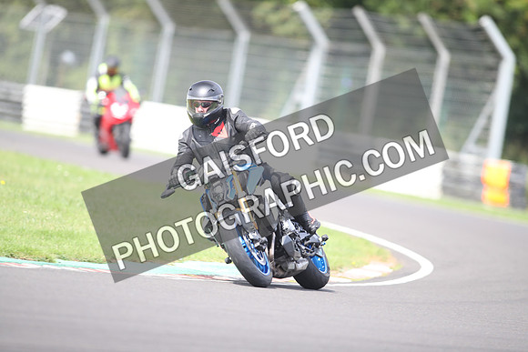 BIKES 1465