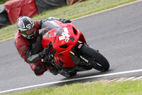 Fowlers 0458