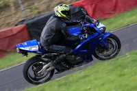 Fowlers 0449