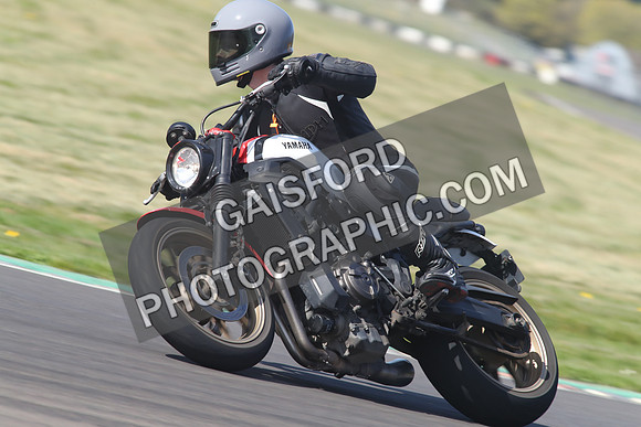 BIKES 1376