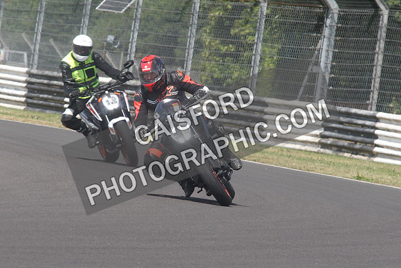 BIKES 1596