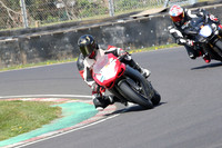 BIKES 0852