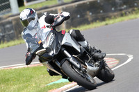 BIKES 0973