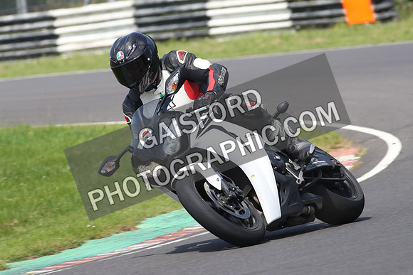 BIKES 0785