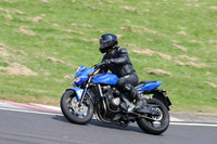 Fowlers 0762