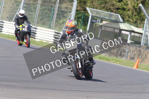 BIKES 1405