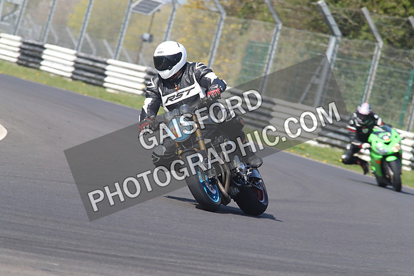 BIKES 1347
