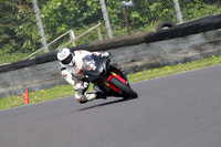 Fowlers 0493