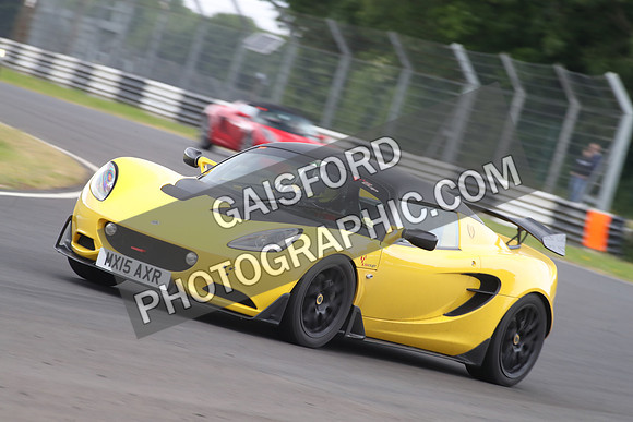 LOTUS 1684