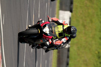 CC BIKE TD 0337